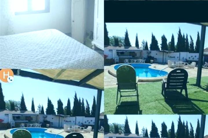 Ivy, 36 — Escort in Cubillo del Campo, Spain