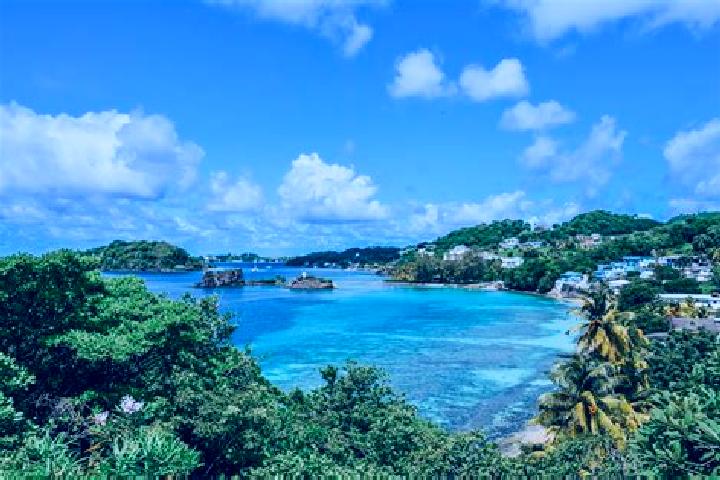 Ivy, 36 — Escort in Gomea, Saint Vincent and the Grenadines