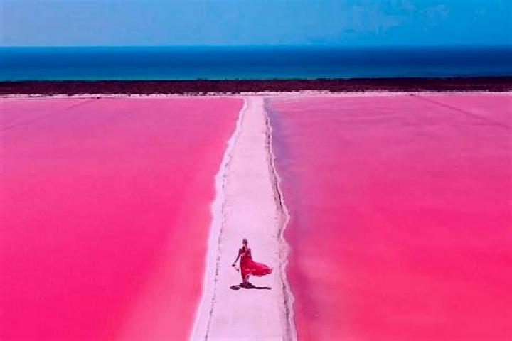 Ivy, 36 — Escort in Laguna Colorada, Mexico