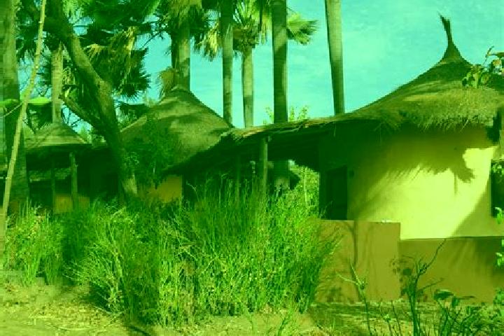 Ivy, 36 — Escort in Madina, Gambia
