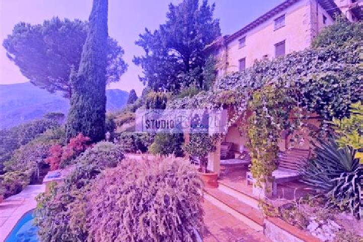 Ivy, 36 — Escort in Metato, Italy