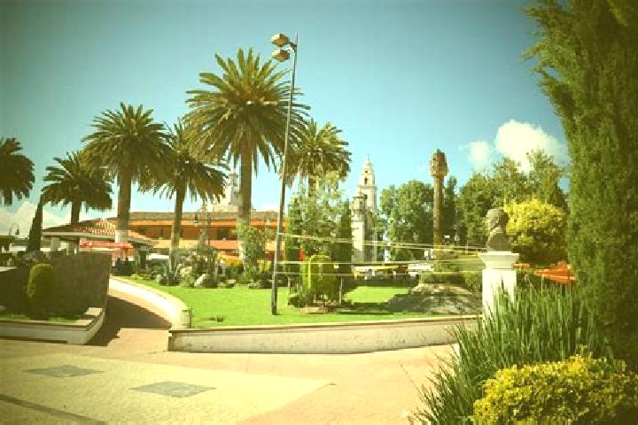 Ivy, 36 — Escort in San Pedro Arriba, Mexico