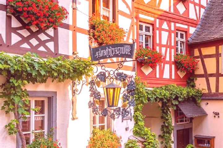 Ivy, 36 — Escort in Schuntersdlg - West, Germany