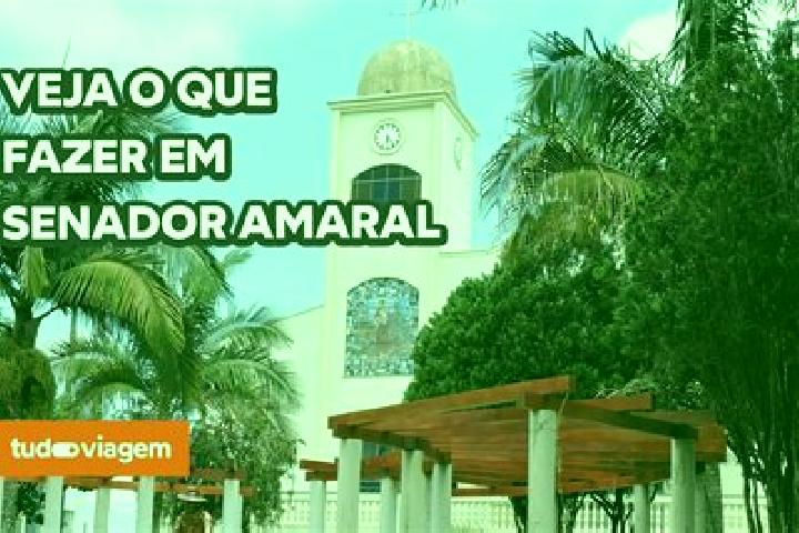 Ivy, 36 — Escort in Senador Amaral, Brazil