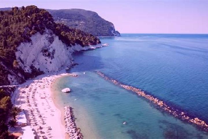 Ivy, 36 — Escort in Treia, Italy