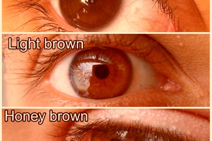 Ivy, 37, a chestnut amber-eyed slavic companion based in Salses-le-Chateau. Offering Travel Companion, GFE, OWO, Party Girl, Roleplay. Available for incall a...