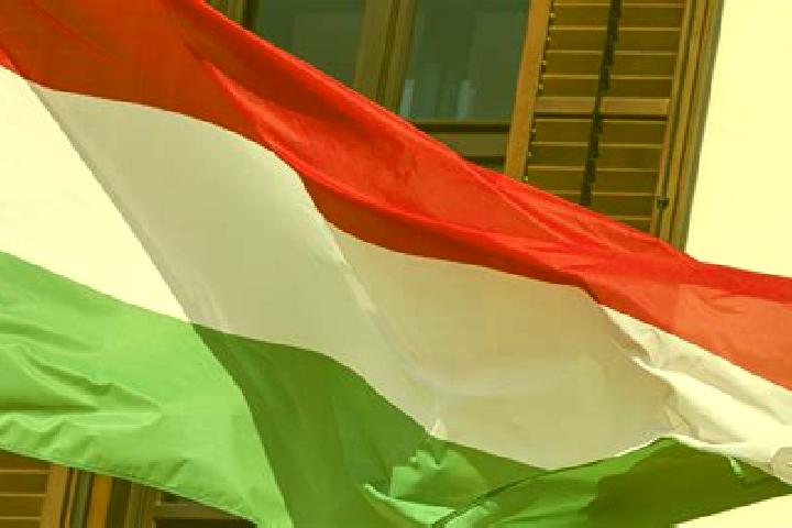 Ivy, 37, a red green-eyed mediterranean companion based in Liddes. Offering Deep French Kissing, CIM, 69, Duos. Available for incall and outcall, day and eve...