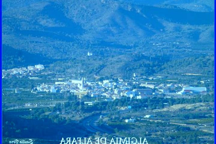 Ivy, 37 — Escort in Algimia de Alfara, Spain