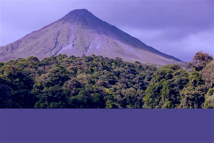 Ivy, 37 — Escort in Corcovado, Puerto Rico