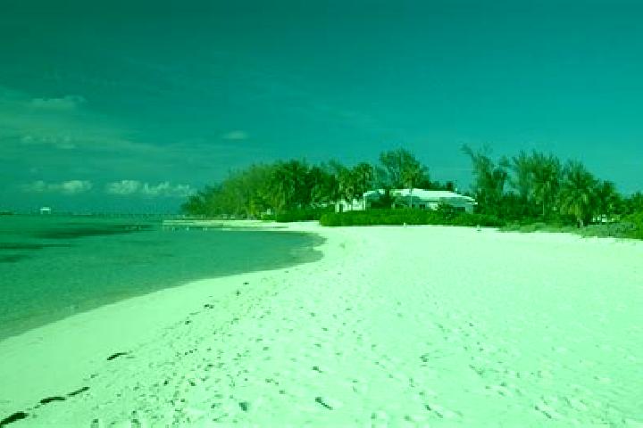 Ivy, 37 — Escort in Dog City, Cayman Islands