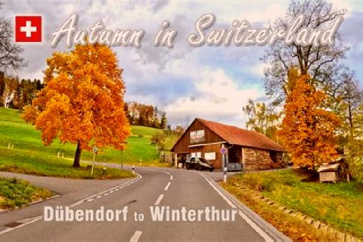 Ivy, 37 — Escort in Duebendorf / Birchlen, Switzerland