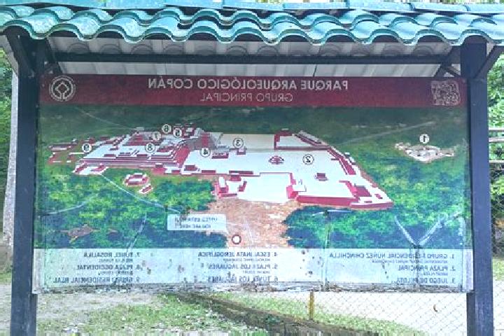 Ivy, 37 — Escort in El Ocoton, Honduras