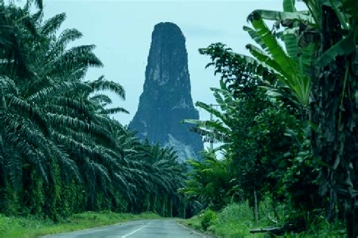 Ivy, 37 — Escort in Malanza, Sao Tome and Principe