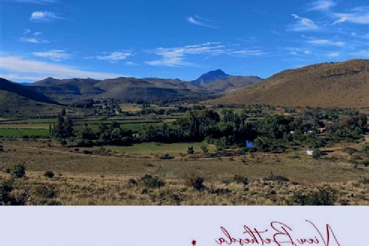 Ivy, 37 — Escort in Nieu-Bethesda, South Africa