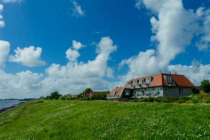 Ivy, 37 — Escort in Oost-Vlieland, Netherlands