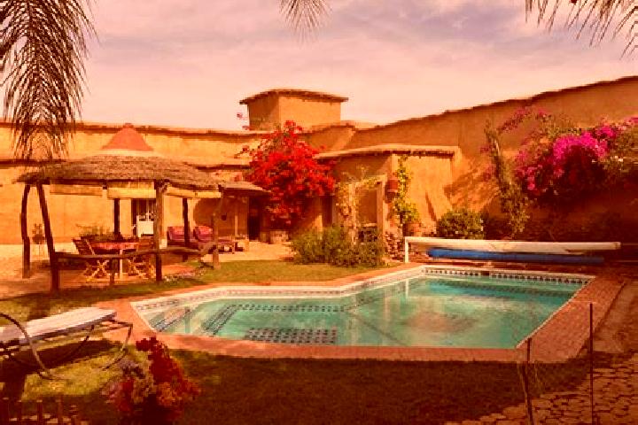 Ivy, 37 — Escort in Oulad Barhil, Morocco