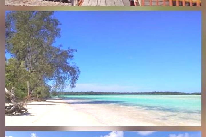 Ivy, 37 — Escort in Pulau Tiga, Indonesia