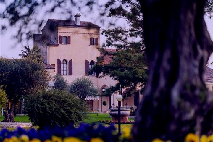 Ivy, 37 — Escort in Stanghella, Italy