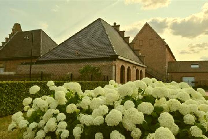 Ivy, 37 — Escort in Templeuve, Belgium