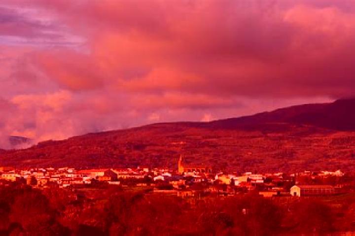 Ivy, 37 — Escort in Tietar, Spain
