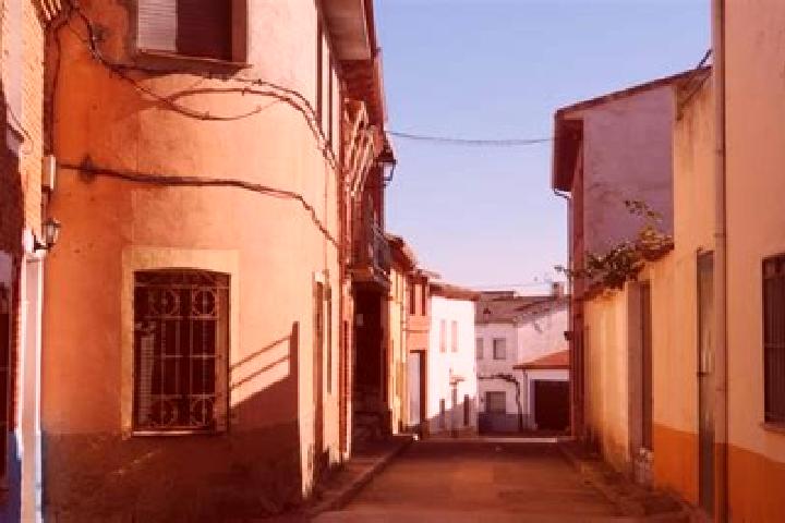 Ivy, 37 — Escort in Torre del Burgo, Spain