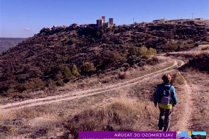 Ivy, 37 — Escort in Valfermoso de Tajuna, Spain