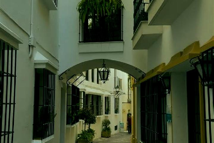 Ivy, 37 — Escort in Villafeliche, Spain