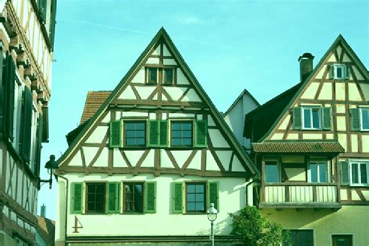 Ivy, 37 — Escort in Waldenbuch, Germany