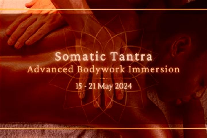 Ivy, 38, a black brown-eyed mixed companion based in Bistrica pri Trzicu. Offering Tantra, Prostate Massage, A-Level. Available for incall and outcall, day a...