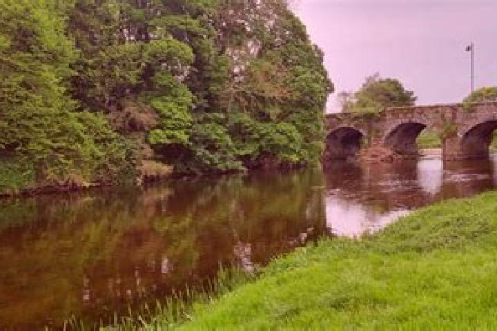 Ivy, 38 — Escort in Bunclody, Ireland
