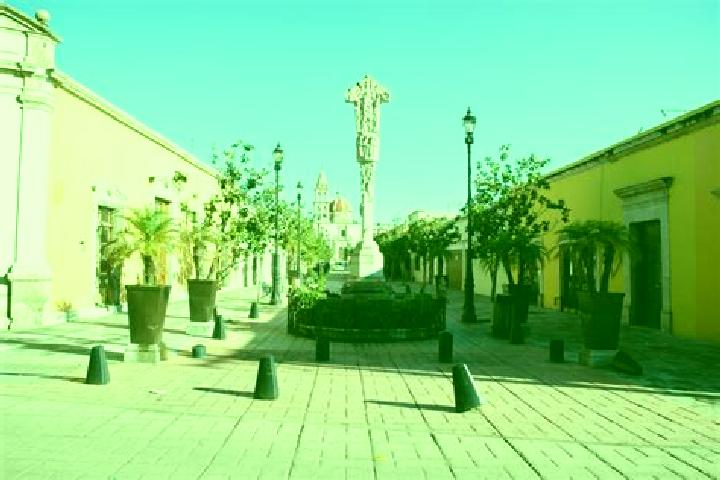 Ivy, 38 — Escort in Cuencame de Ceniceros, Mexico