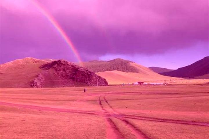 Ivy, 38 — Escort in Dzadgay, Mongolia