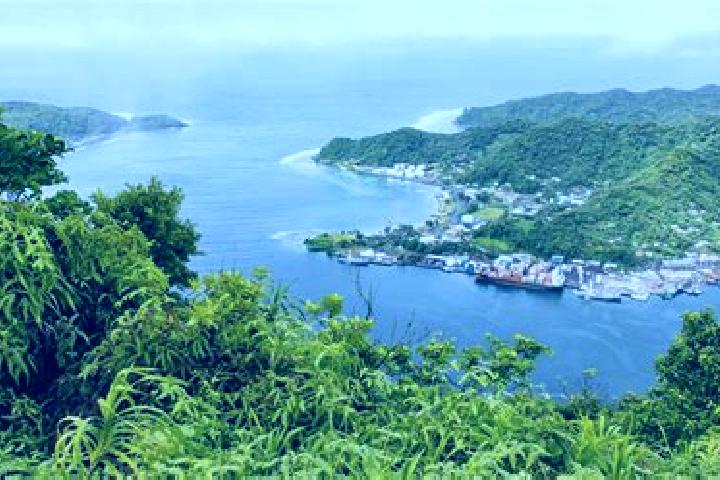 Ivy, 38 — Escort in Ili ili, American Samoa