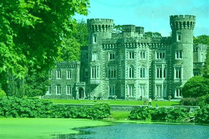 Ivy, 38 — Escort in Johnstown Bridge, Ireland