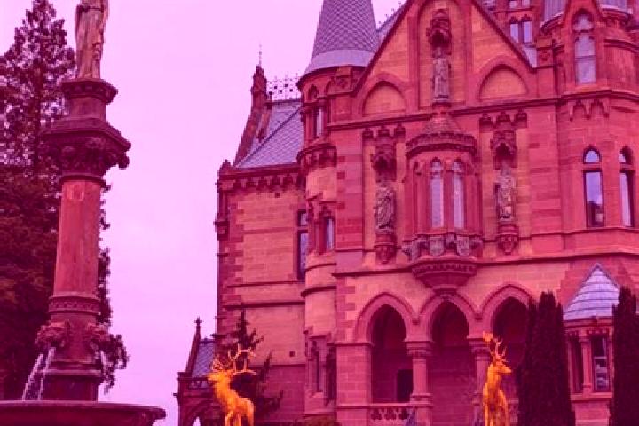 Ivy, 38 — Escort in Koenigswinter, Germany