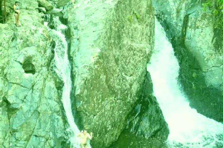 Ivy, 38 — Escort in Las Tinajas, Mexico