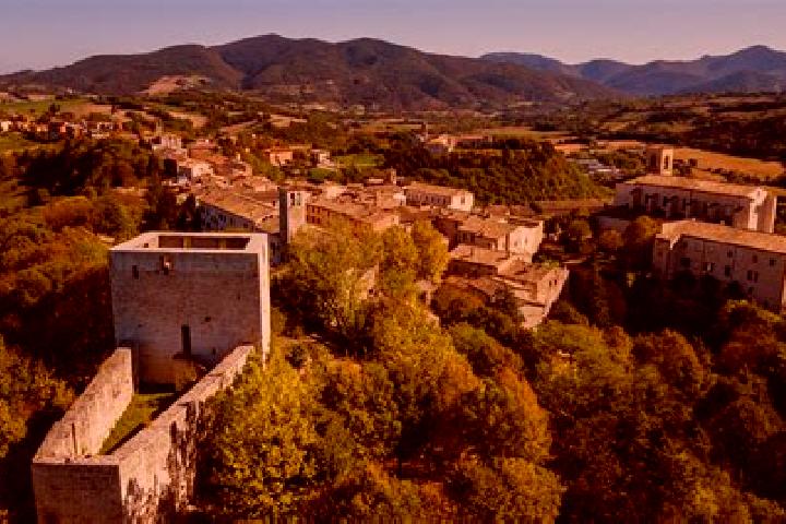 Ivy, 38 — Escort in Monterubbiano, Italy