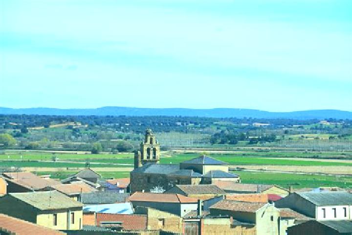 Ivy, 38 — Escort in Navianos de Valverde, Spain