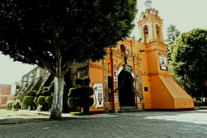 Ivy, 38 — Escort in Totoltepec, Mexico