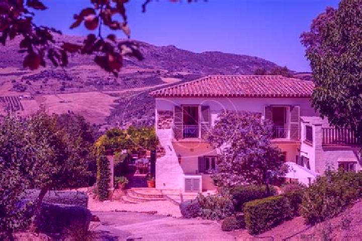 Ivy, 38 — Escort in Villanueva de la Concepcion, Spain