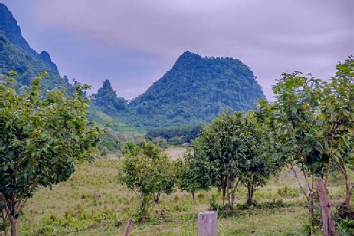Ivy, 39 — Escort in Ban Xiang-Ngeun, Laos