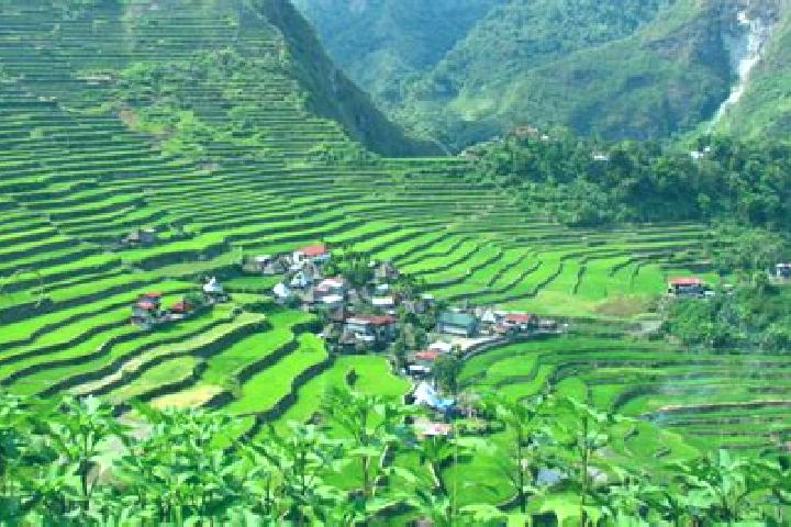 Ivy, 39 — Escort in Batad, Philippines