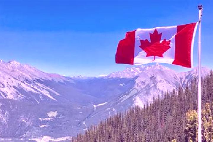 Ivy, 39 — Escort in Central, Canada
