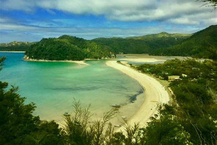 Ivy, 39 — Escort in Days Bay, New Zealand