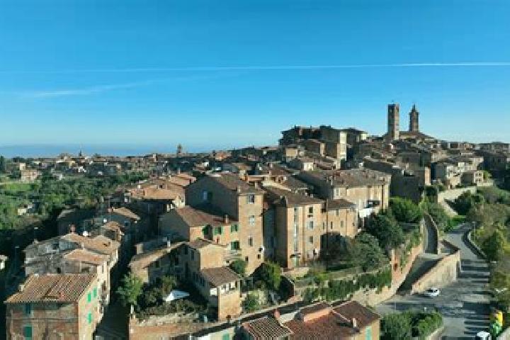 Ivy, 39 — Escort in La Pieve-Molino, Italy