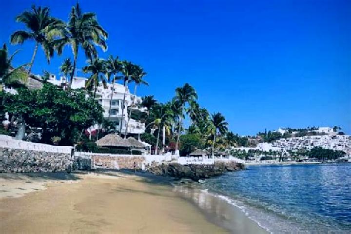 Ivy, 39 — Escort in Manzanillo, Spain