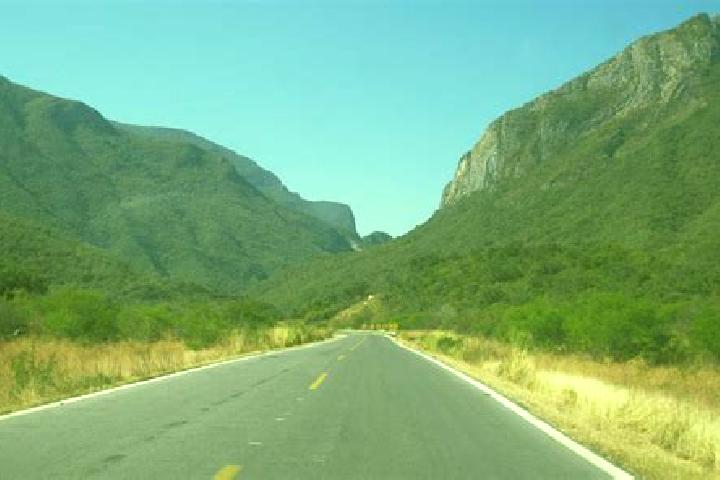Ivy, 39 — Escort in Maxtleca de Galeana, Mexico
