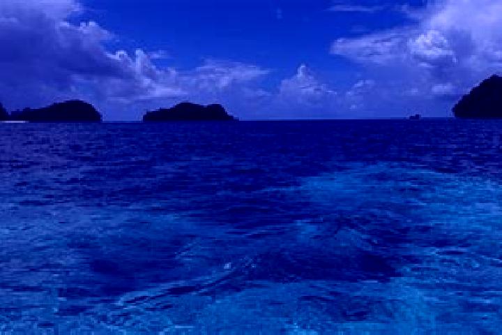 Ivy, 39 — Escort in Sonsorol Village, Palau