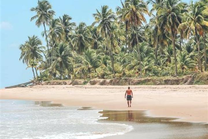 Ivy, 39 — Escort in Taipu, Brazil