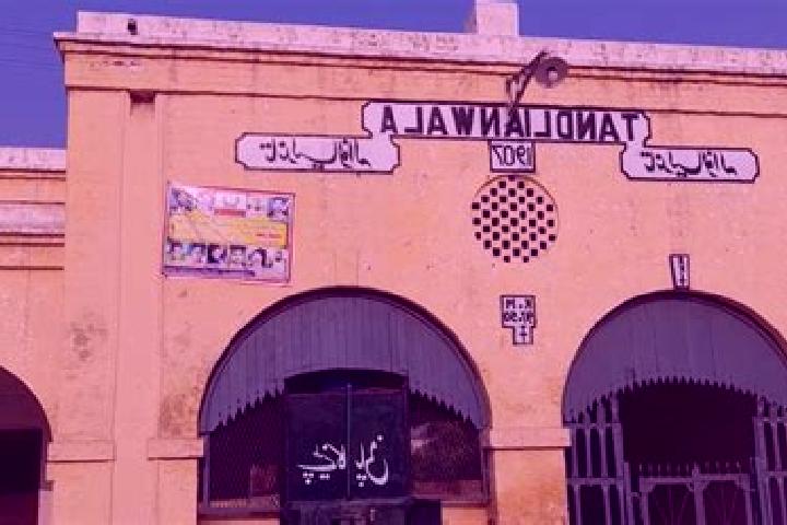 Ivy, 39 — Escort in Tandlianwala, Pakistan